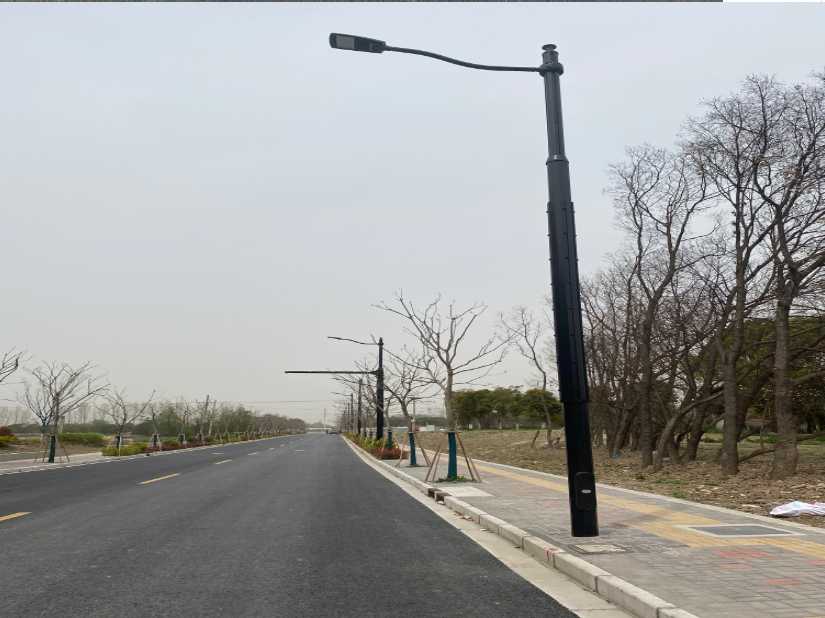 横山区上海综合杆 太阳能路灯工程